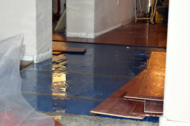 Professional Burst Pipe Cleanup technician working in Mebane, NC